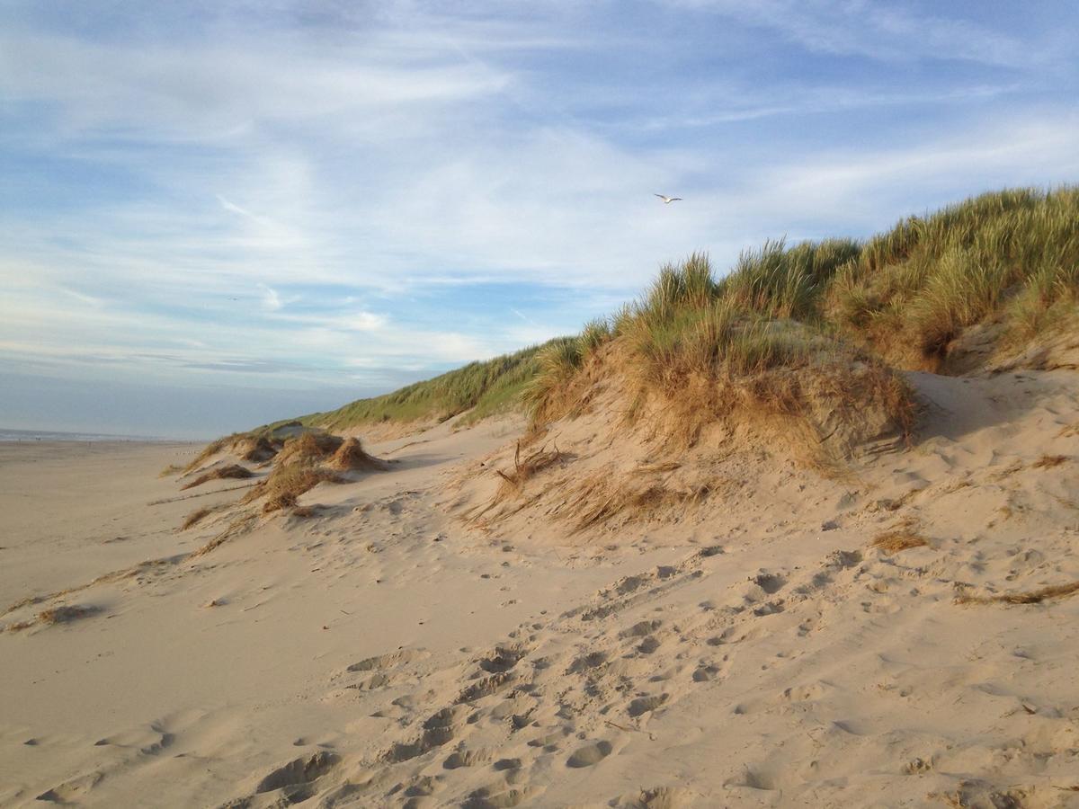Beachhouses Texel De Koog  Eksteriør bilde